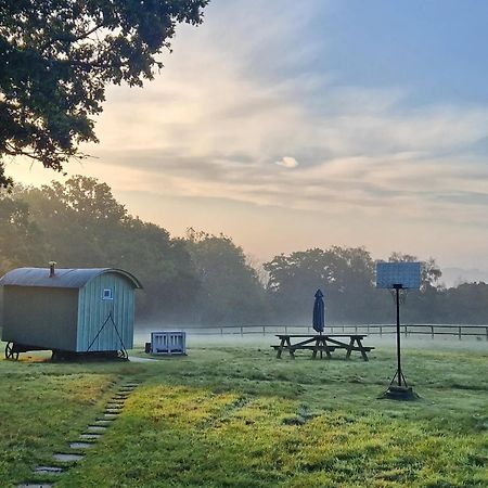 Skylark Shepherds Hut Royal Tunbridge Wells Luaran gambar