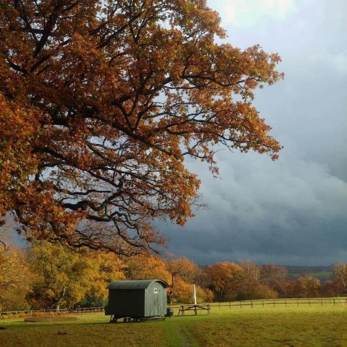 Skylark Shepherds Hut Royal Tunbridge Wells Luaran gambar